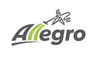 Allegro Logo   VF